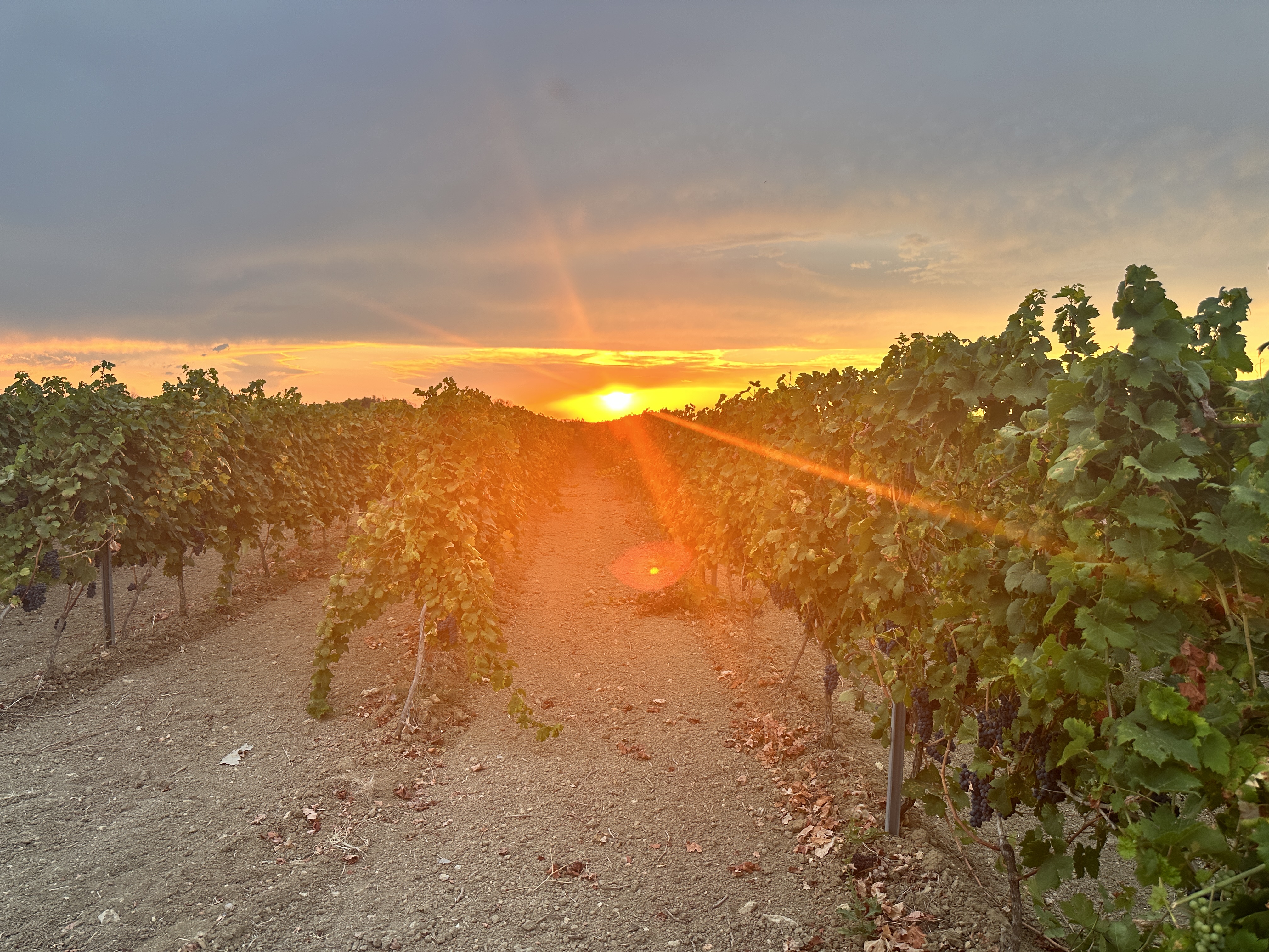 Puglia, Italy - July/August 2024