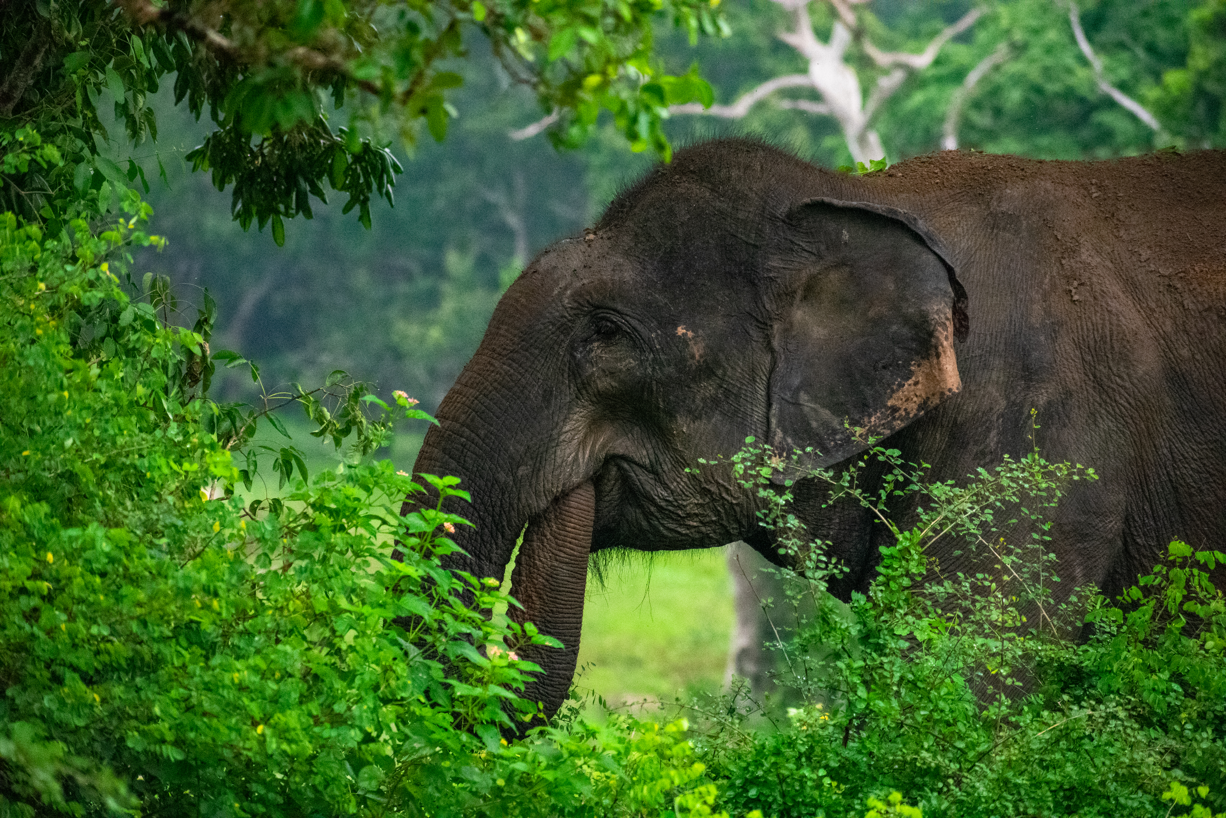 Sri Lanka, December 2022