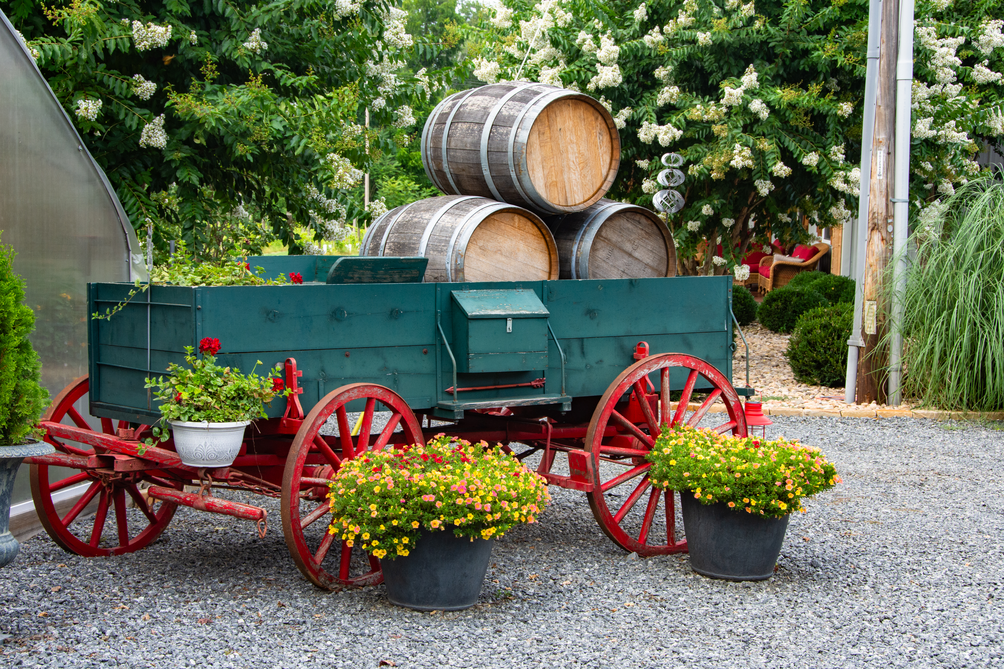 Virginia Wine Country - July 2025