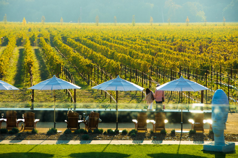 California Wine Country 2015